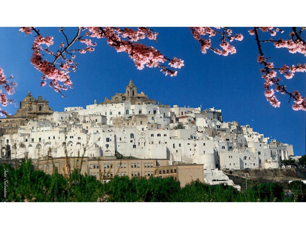 Casa Farella B&B In Suites Apartments Altamura X Matera Exteriér fotografie